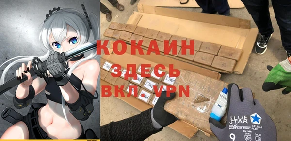дмт Арсеньев