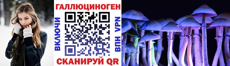 Псилоцибиновые грибы прущие грибы  darknet состав  Приозерск 