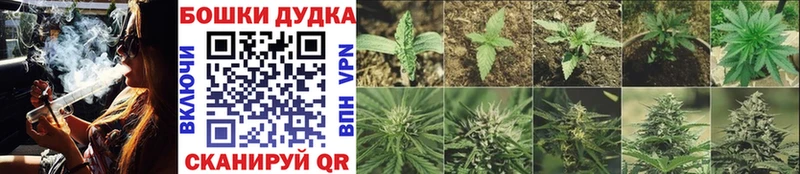 магазин  наркотиков  Приозерск  Бошки Шишки Ganja 